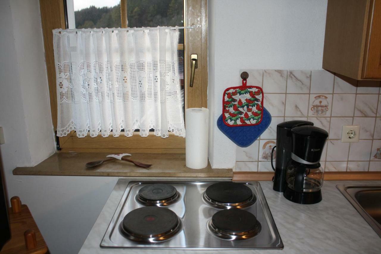 Ferienwohnung Eva Und Alexander Hirschbach  Bagian luar foto